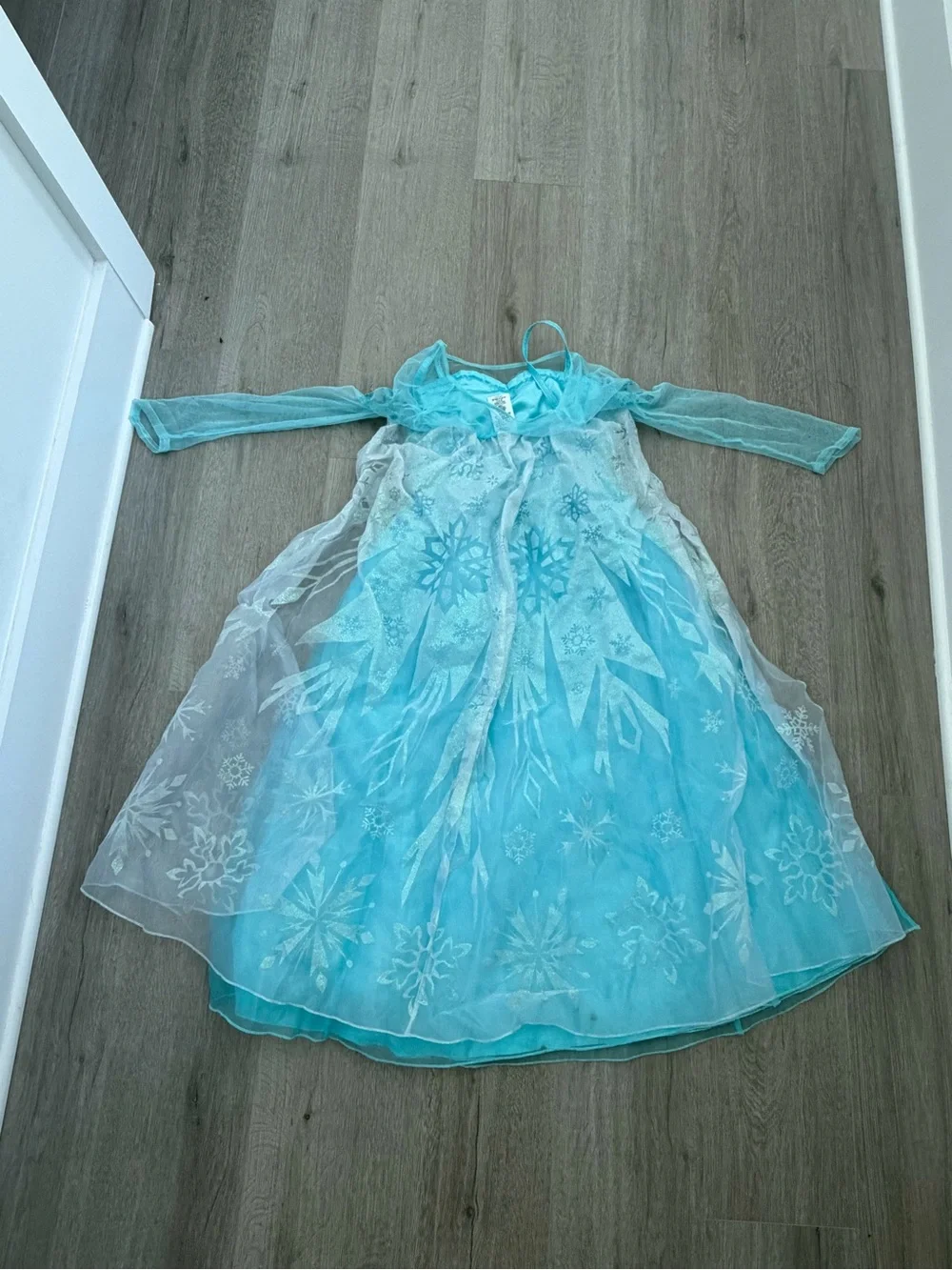 Disneys Elsa Dress